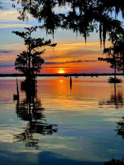 Country Oaks RV Park Picture 5