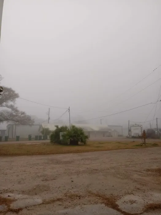 Country Oaks RV Park Picture 2