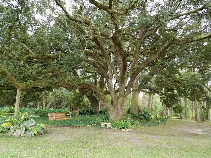 Rest Hill R V Park LLC Picture 6