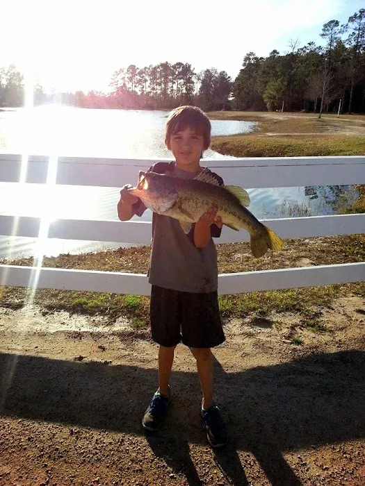 Jellystone Park™ Lake Charles Picture 7