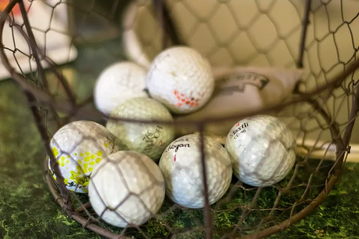 Jellystone Park™ Lake Charles Picture 9