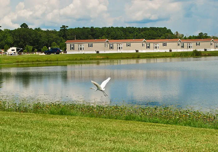 Red Shoes RV Park & Chalets Picture 4