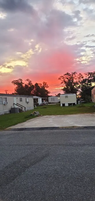 Country Oaks Picture 5