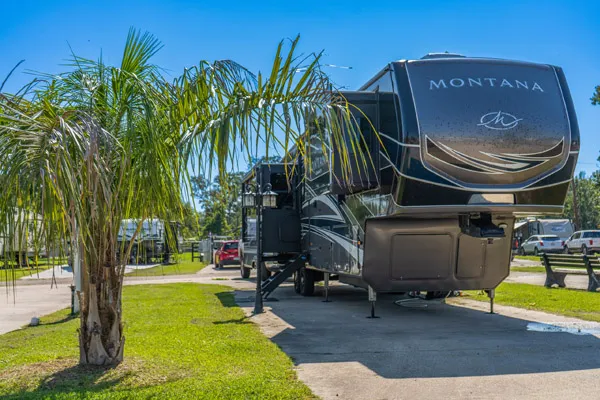 Twelve Oaks RV Park Picture 3