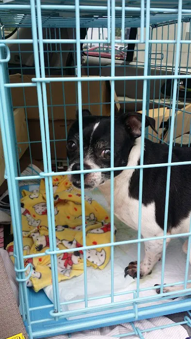 Tommasi Mobile Village Picture 4