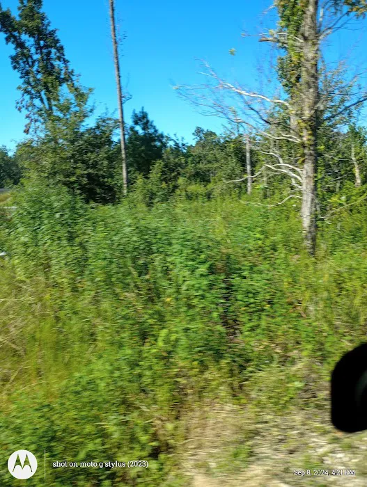 White Oak Park Picture 8