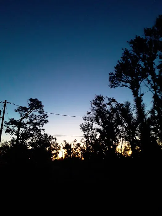 White Oak Park Picture 7