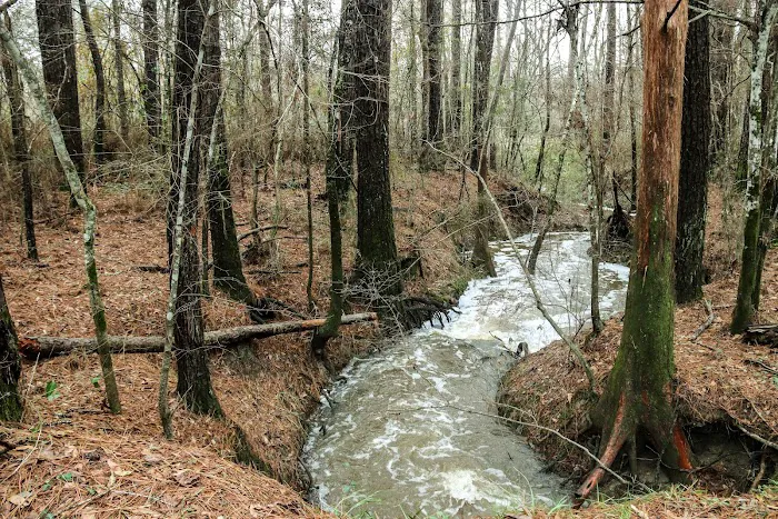 The Ark at Oxbow Lake Picture 2