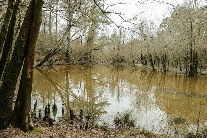 The Ark at Oxbow Lake Picture 3