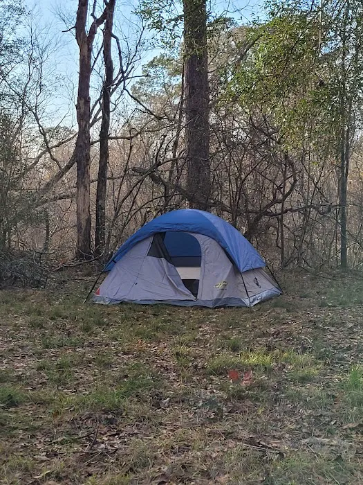 The Ark at Oxbow Lake Picture 4