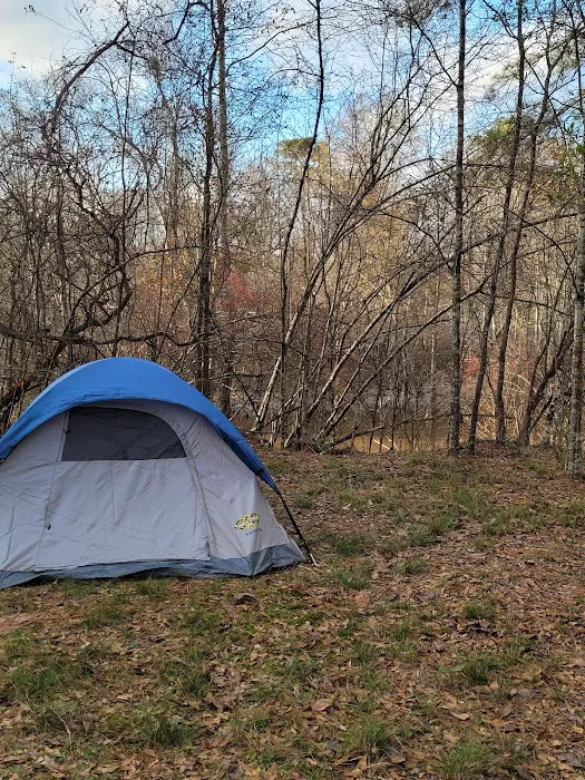 The Ark at Oxbow Lake Picture 9