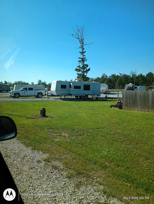 Gator RV Park Picture 8