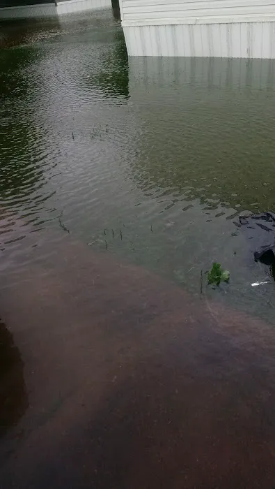 Smith Village Mobile Home & RV Park Picture 6