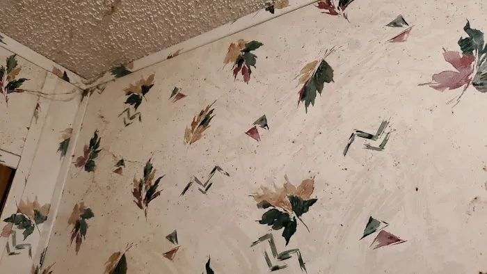 Smith Village Mobile Home & RV Park Picture 4