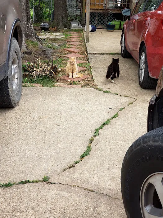 Gulf Stream Manor Picture 9