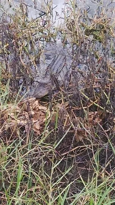 KP RV PARK Picture 10