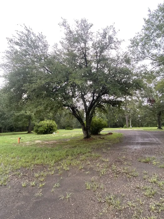 Sugartown Acres Picture 2