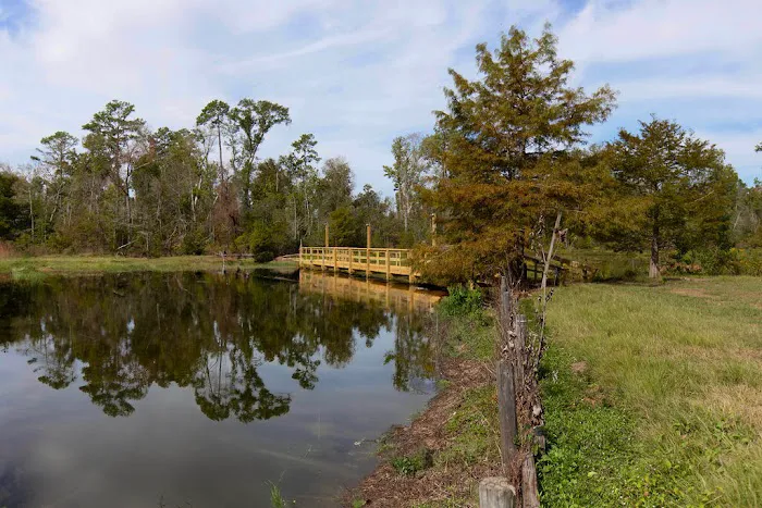 Bundick Lake Retreat and RV Picture 8