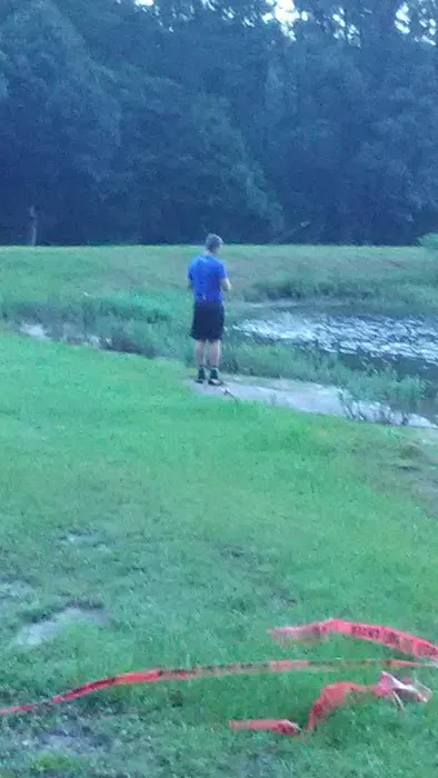 Lil Piney Park Picture 7