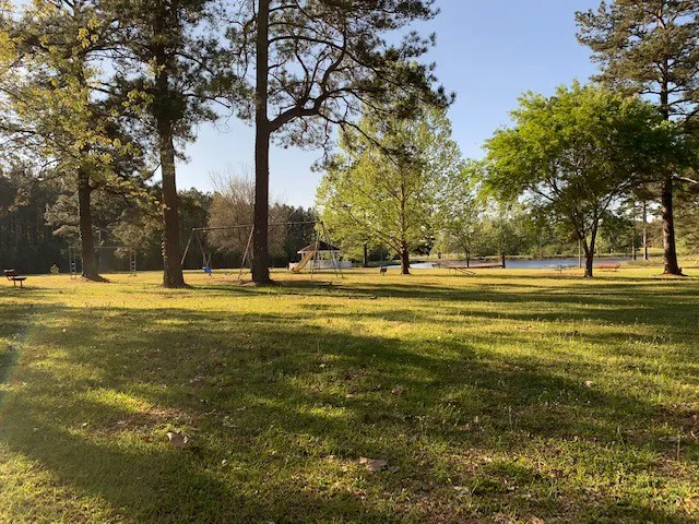 Lil Piney Park Picture 3