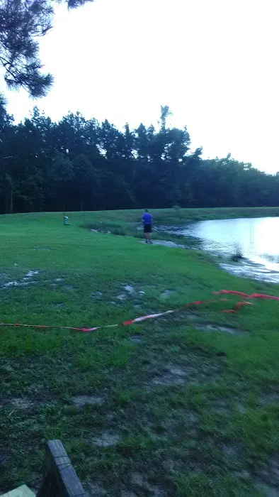 Lil Piney Park Picture 1