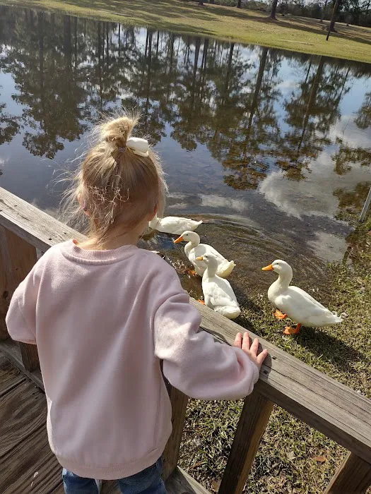 Lil Piney Park Picture 8