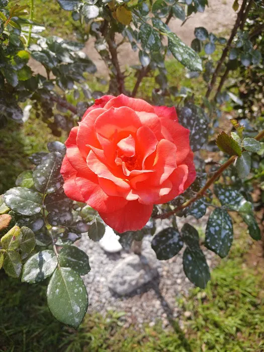 Deer Creek RV Park Picture 1