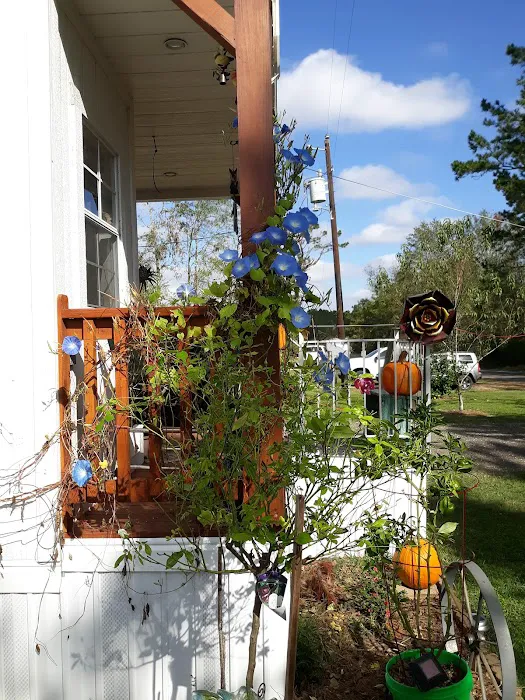 Cowboy RV Park Picture 8