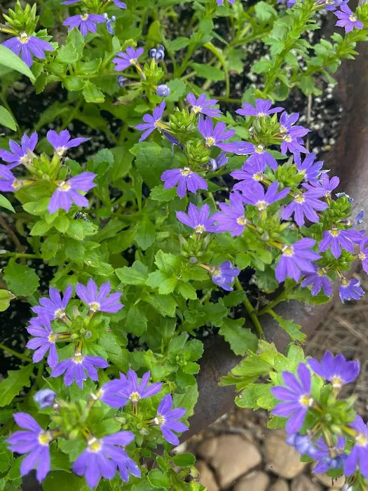 Mylander RV Park Picture 1