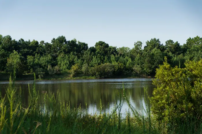 Osprey Lakes RV Park Picture 1