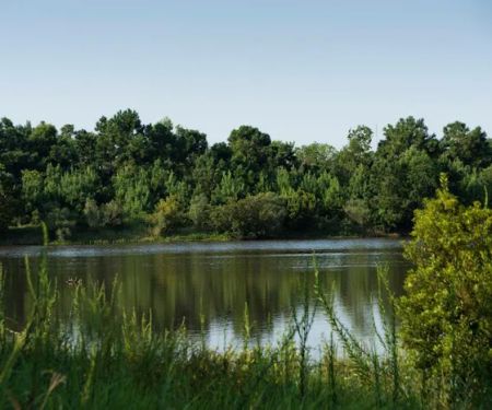 Osprey Lakes RV Park