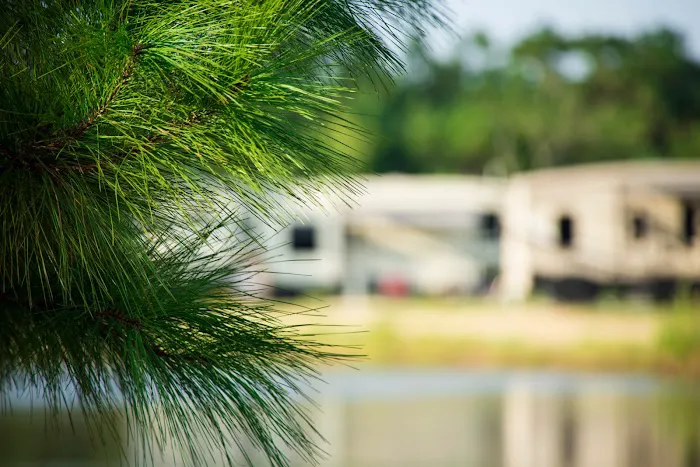 Osprey Lakes RV Park Picture 5