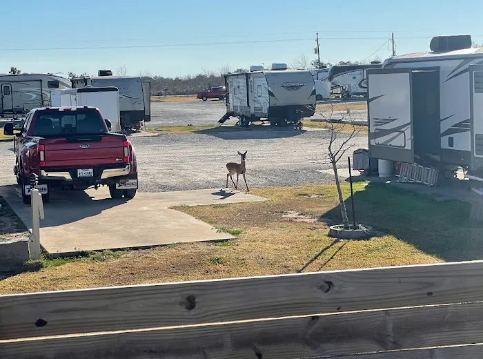 Big Lake RV Park Picture 3