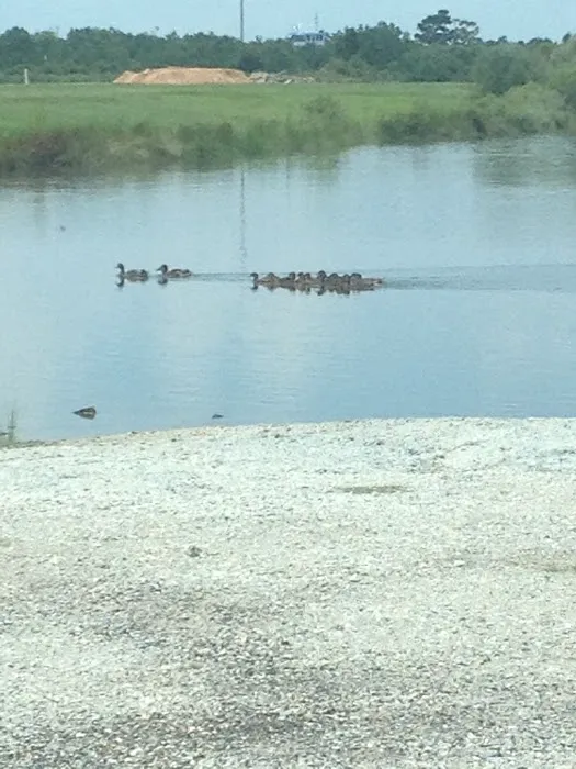 Big Lake RV Park Picture 4