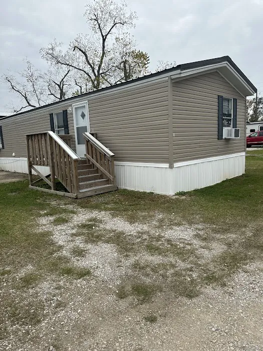 Sulphur Palms Picture 3