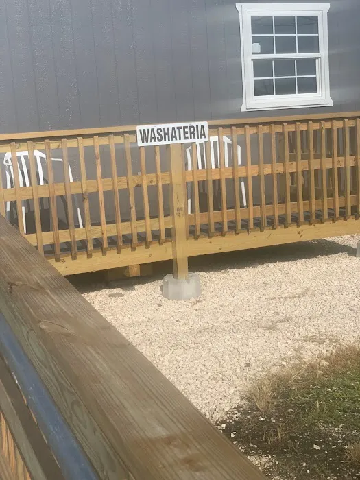 Sulphur Palms Picture 1