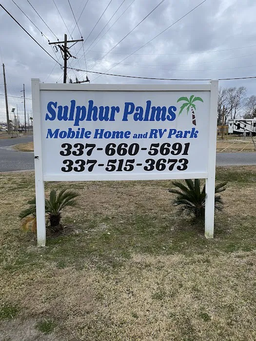 Sulphur Palms Picture 2