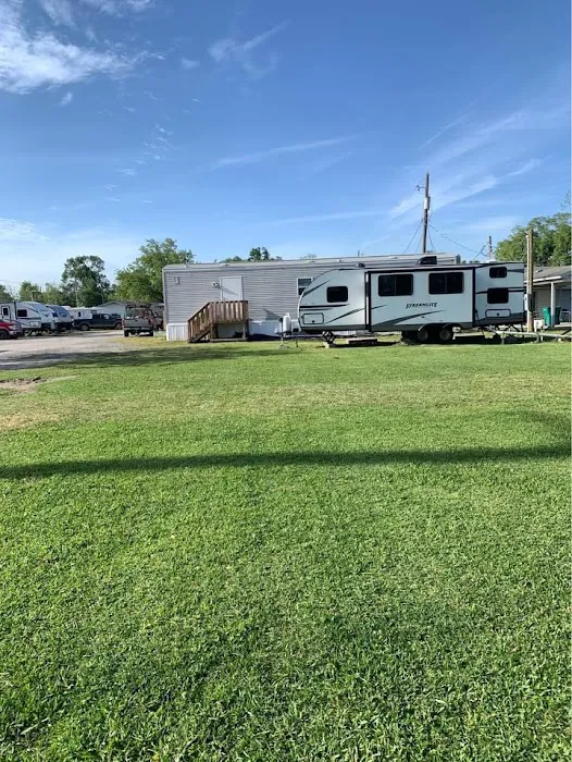 Sulphur Palms Picture 9