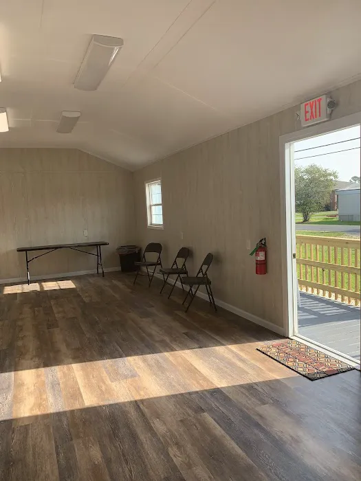 Sulphur Palms Picture 5