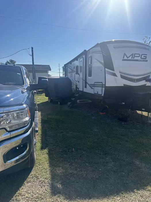 Sulphur Palms Picture 10