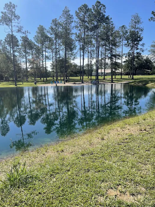 Trout Creek RV Park Picture 2