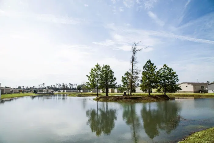 MOSSWOOD ESTATES Picture 2