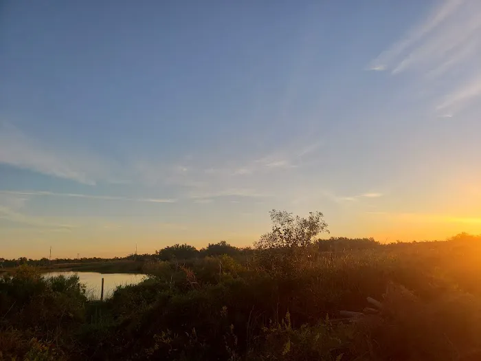 Choupique RV Park Picture 7