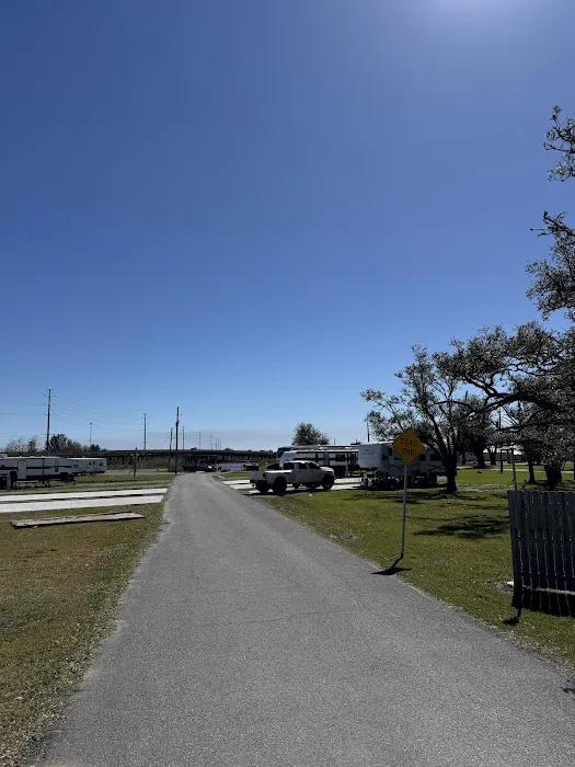 Bayou Oaks Resort & Marina Picture 3