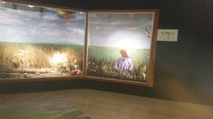 Shandy Acres Mobile Village Picture 1