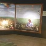 Shandy Acres Mobile Village