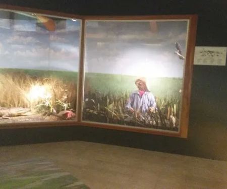 Shandy Acres Mobile Village