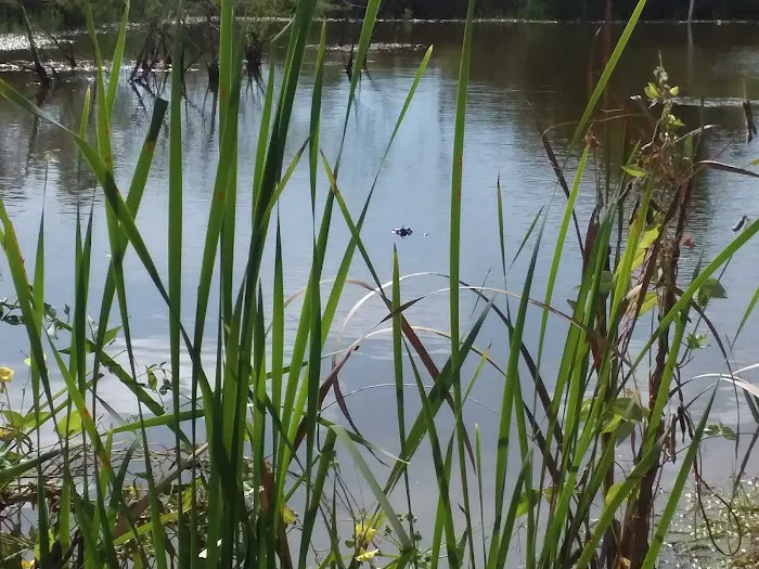 Channelview RV Park Picture 8