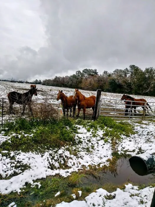 Channelview RV Park Picture 9