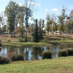 Arlington RV Park